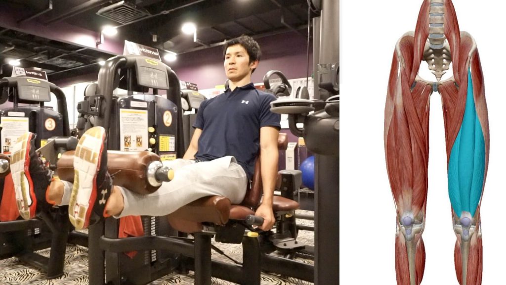 膝を鍛えるレッグエクステンションのトレーニングマシンFin